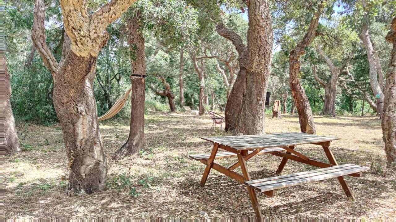 Les Pierres De La Massane - Vue Sur Les Alberes Daire Argelès-sur-Mer Dış mekan fotoğraf